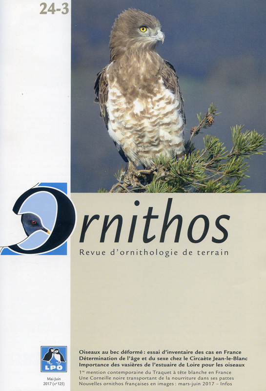 Ornithos cover